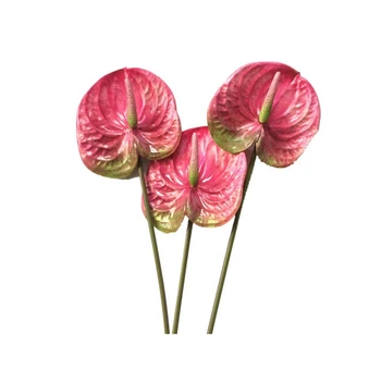 3 Vnt 27Inch Dirbtinis Anthurium Gėlių Namų Dekoro Puokštė Ir Žalias Lapas Nuotakos Vestuvių Dekoravimas (Pink)