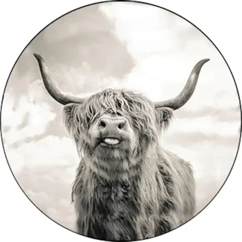 Škotijos Karvės Vėliavos Atsarginių Padangų Padengti Automobilį - Automobilių Aksesuarai, Custom Atsarginis Ratas Apima Savo Asmeninį Dizainas,